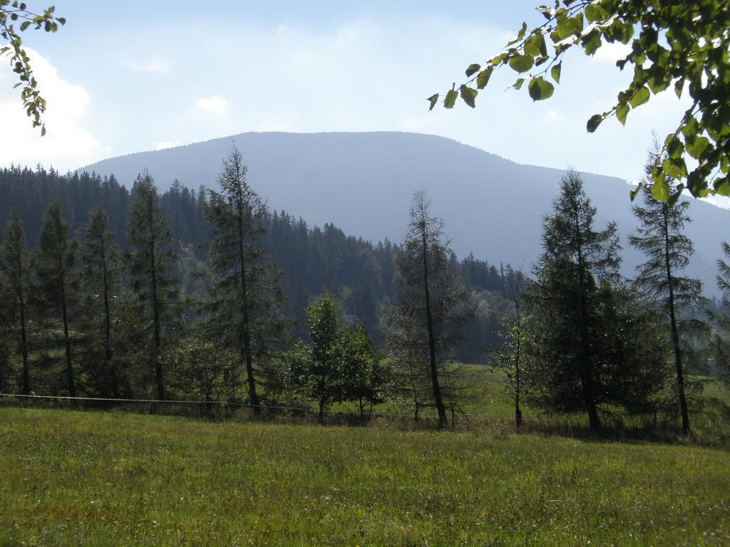 Ubytovani U Pradku Čeladná エクステリア 写真